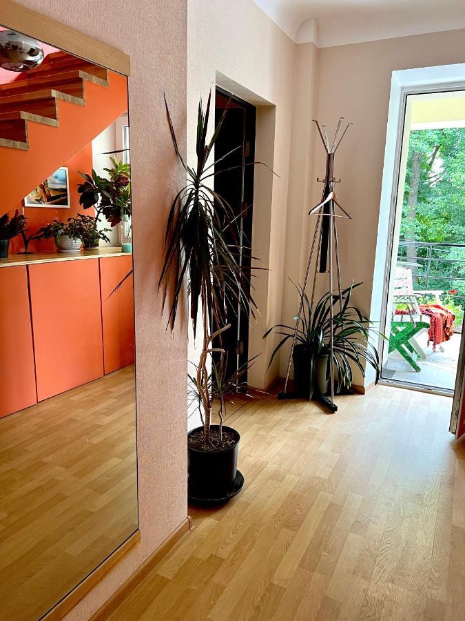Studio Apartment And Free Airport Transfer Riga Dış mekan fotoğraf