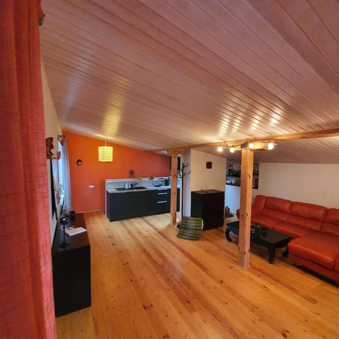 Studio Apartment And Free Airport Transfer Riga Dış mekan fotoğraf