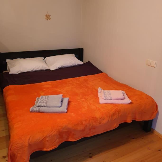 Studio Apartment And Free Airport Transfer Riga Dış mekan fotoğraf