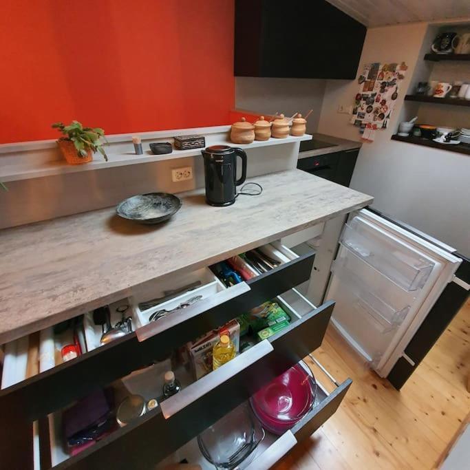 Studio Apartment And Free Airport Transfer Riga Dış mekan fotoğraf